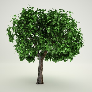Tree1 free 3d model