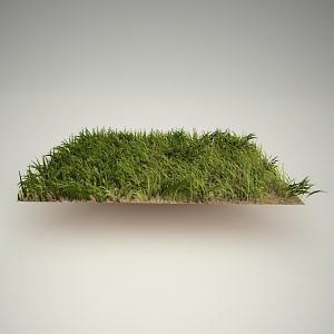 free 3d models - Grass2 free 3d model